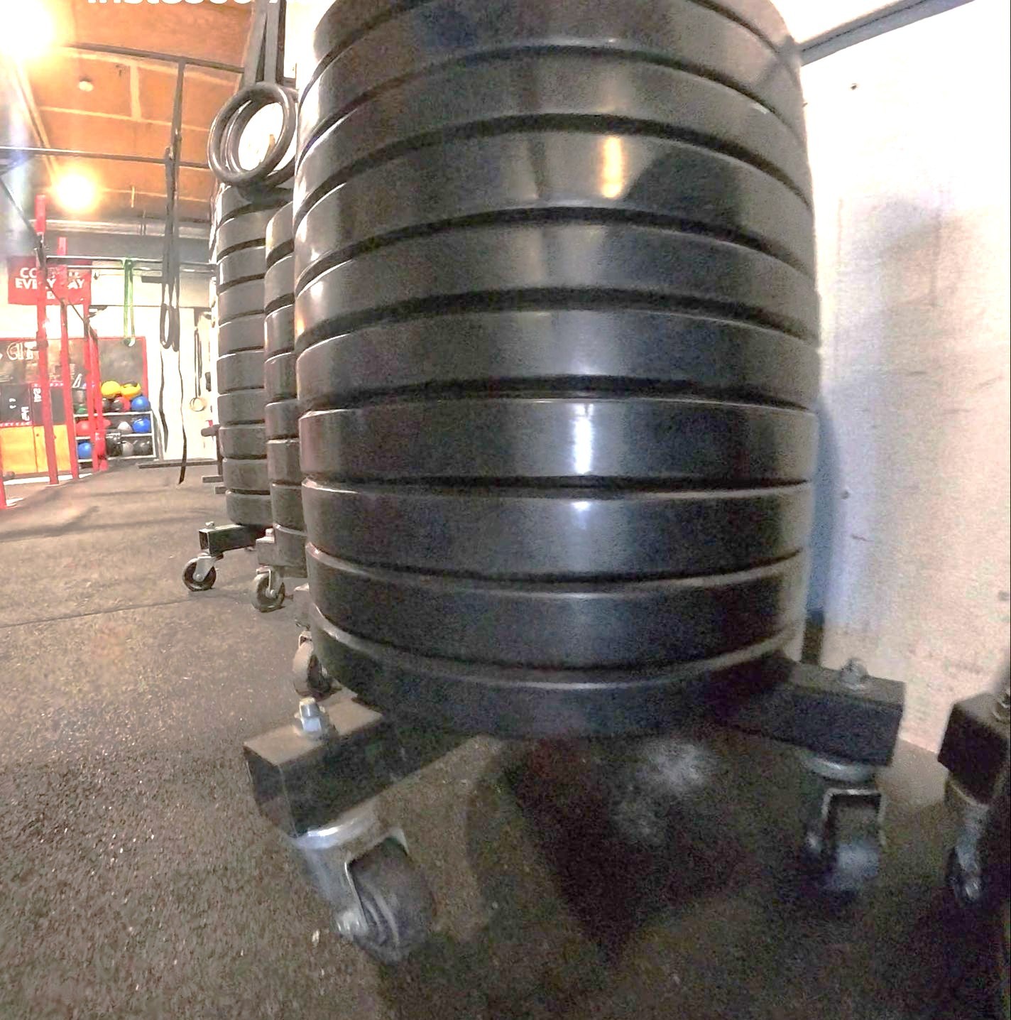 Free Weights Section